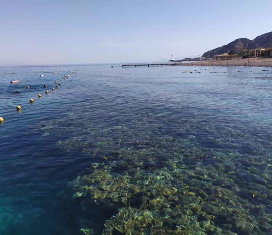 משרד הפנים: אלה החופים שאסורים לרחצה