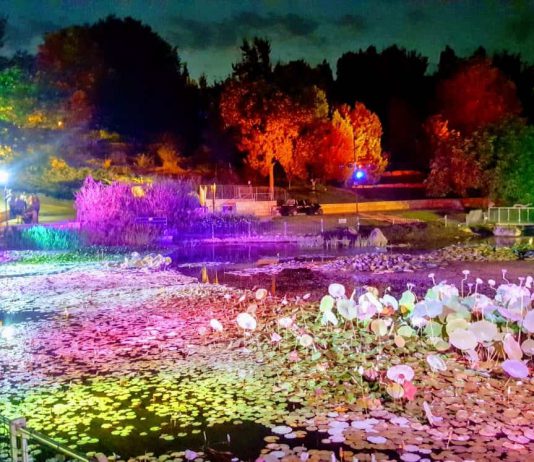 האירוע המרכזי של הקיץ: ארץ האגדות בגן הבוטני בירושלים ארץ האגדות בגן הבוטני