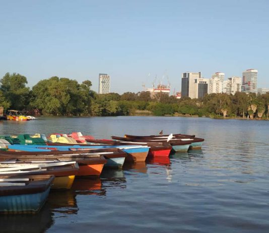 טיול קליל במרכז הארץ: פארק נחל הירקון כמו שלא הכרתם נחל הירקון