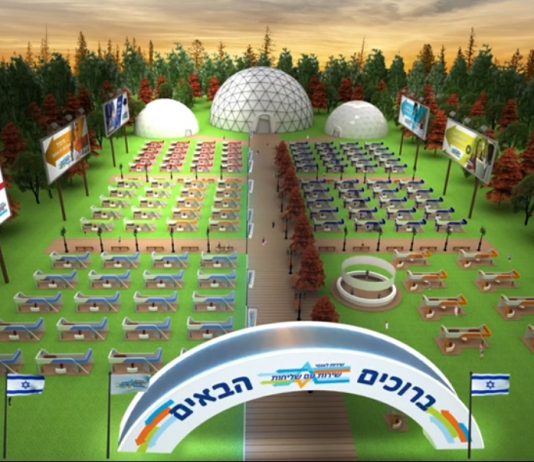 כנס שירות לאומי וירטואלי