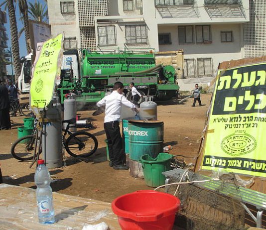 יוצאים לחירות: לראשונה מאז פרוץ נגיף הקורונה מקיימים ליל סדר משפחתי ובטיחותי