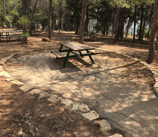 דתילי וקק"ל בפרויקט משותף: איפה לעשות מנגל ביום העצמאות חניון עין רועים