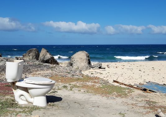 שירותים בטבע