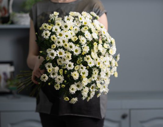 טיפים לבחירה נכונה של פרחים טיפים לבחירת פרחים