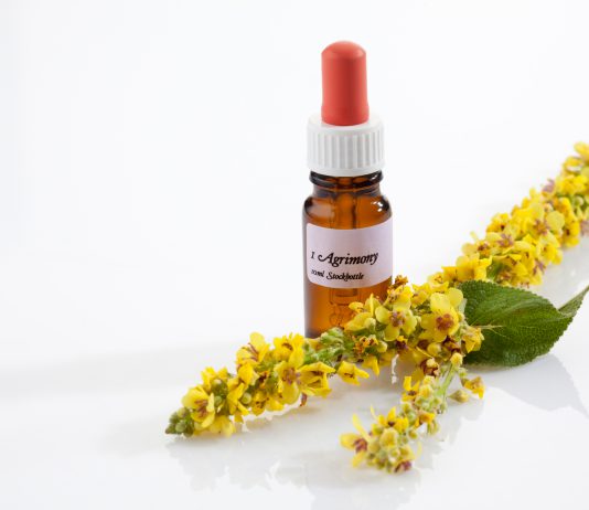 פרחי באך – התמציות שעושות את ההבדל