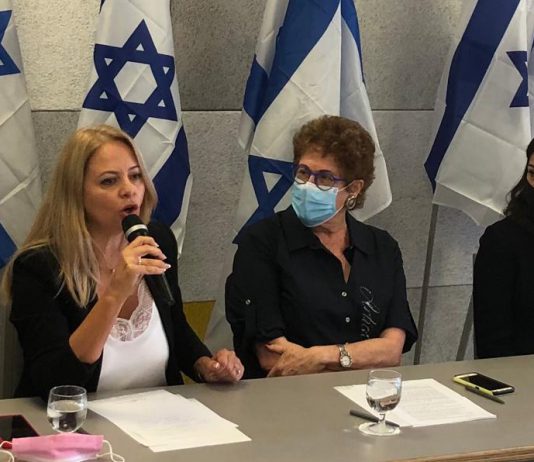 מעונות היום המפוקחים