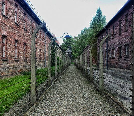 דואגת שנזכור