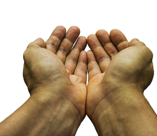 בחירת עמותה לתרומה – כיצד נוכל לדעת שהכספים שתרמנו אכן הגיעו ליעדם?