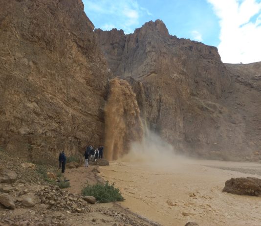 תיעוד: עשרות מטיילים תרים אחר שטפונות במדבר יהודה