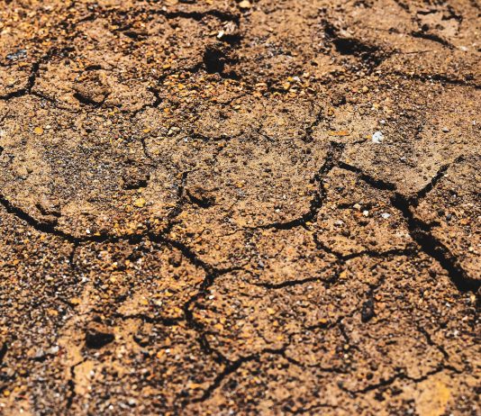 המומחה מסביר: הקשר בין האירועים בטורקיה לאירועים בישראל