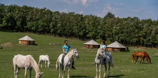 רכיבה על סוסים בהונגריה