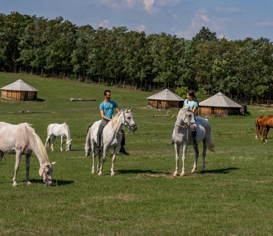 רכיבה על סוסים בהונגריה