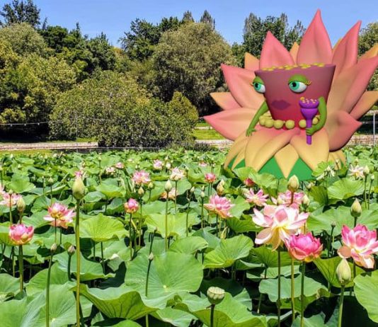 המלצה לבילוי: בוטניפלצת – כשמפלצות פוגשות צמחים בגן הבוטני בירושלים