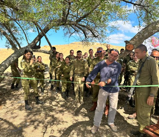 תצפית המשולש בגולן