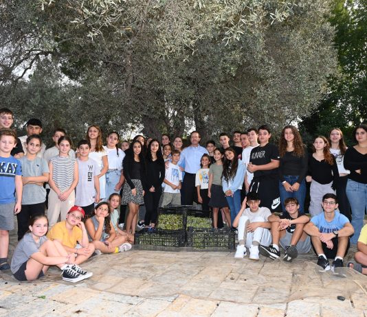 מסיק זיתים בבית הנשיא