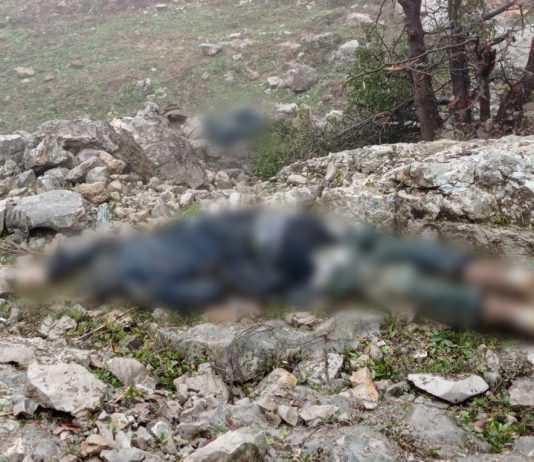 אחד המחבלים שחוסלו בהר דב