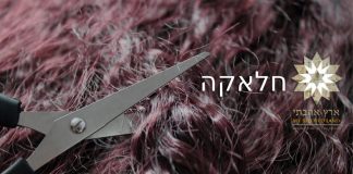 טקס חלאקה