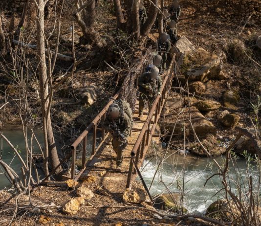 תמונת ניצחון על גדות הליטני