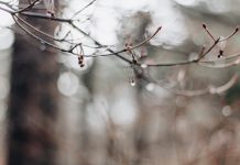 בין עננים לשלוליות: איך לטייל נכון בעונה הכי מרגיעה בשנה