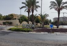 אלקנה