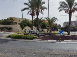 אלקנה
