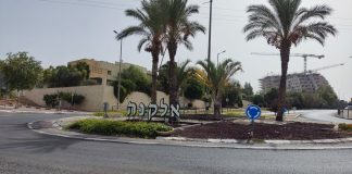 אלקנה
