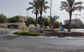 אלקנה