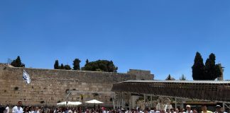 ממשיכים את האור של מיכל: בני הנוער שגייסו 140 אלף שקל למען ילדי החינוך המיוחד