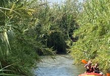 העונה הכי יפה מתחילה על המים באבוקיאק
